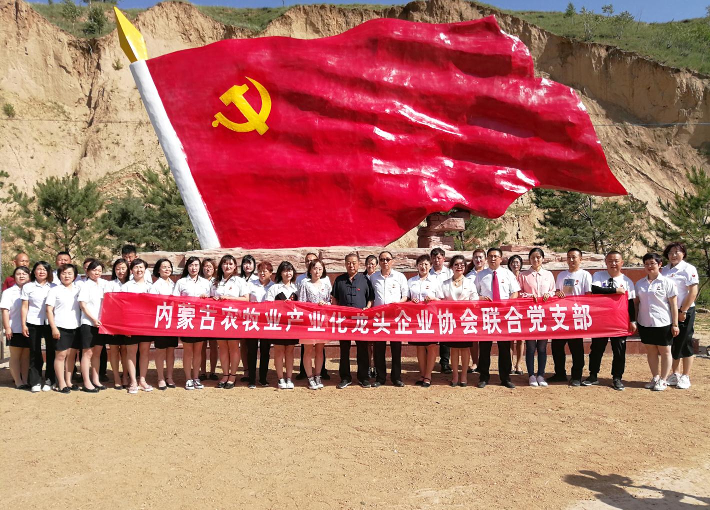 內(nèi)蒙古農(nóng)牧業(yè)產(chǎn)業(yè)化龍頭企業(yè)協(xié)會走進石人灣村開展“辦實事、解難題，送溫暖，傳黨恩”公益活動