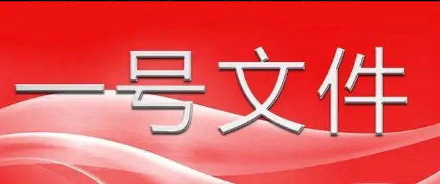 中共中央 國(guó)務(wù)院關(guān)于進(jìn)一步深化農(nóng)村改革 扎實(shí)推進(jìn)鄉(xiāng)村全面振興的意見(jiàn)